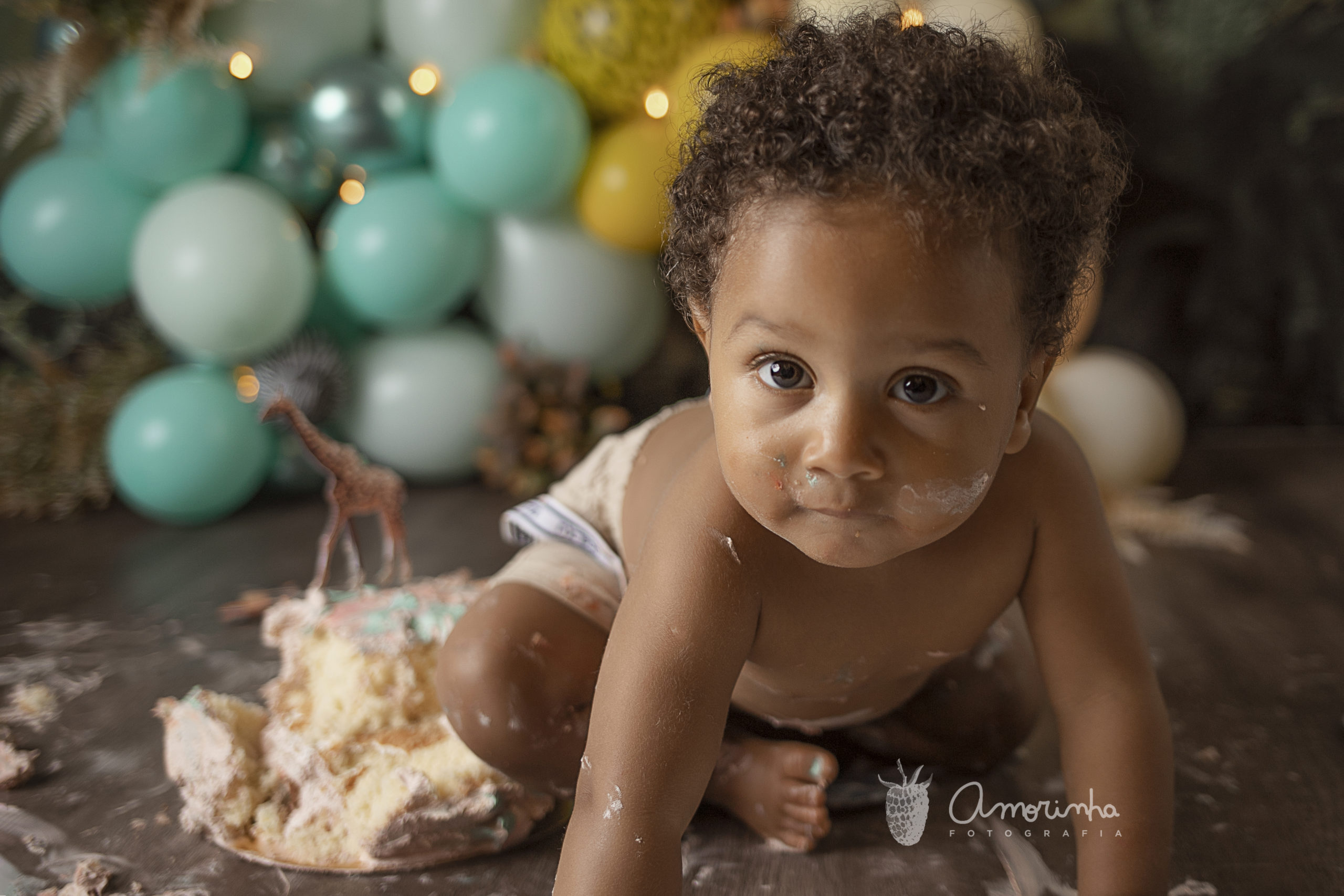 Smash-the-cake-Amorinha-Fotografia-tijuca-RJ (35)