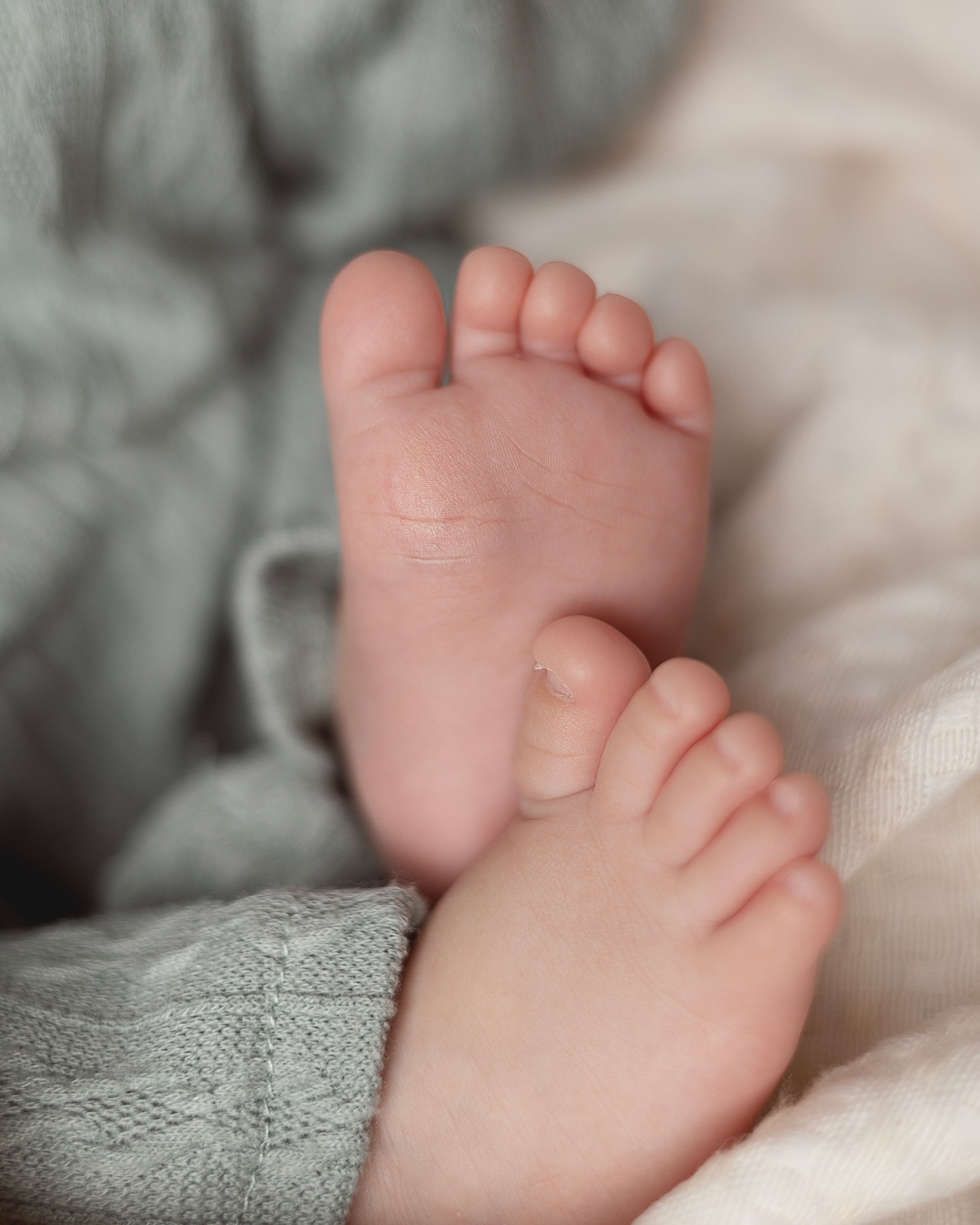 newborn-rio-de-janeiro-amorinha-fotografia163